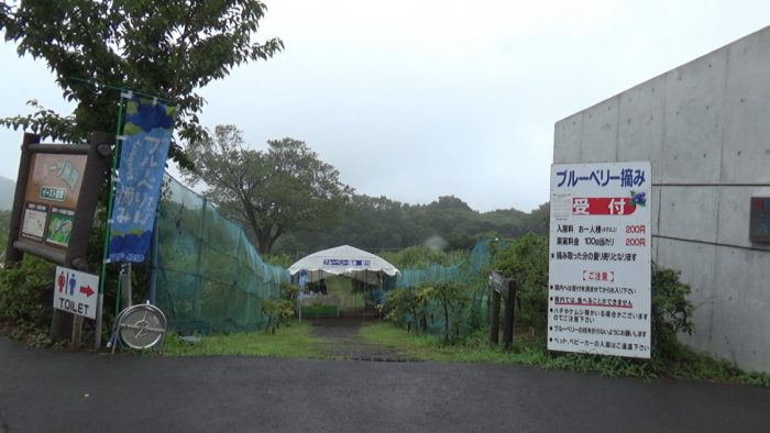 マザー牧場 ブルーベリー摘み入り口