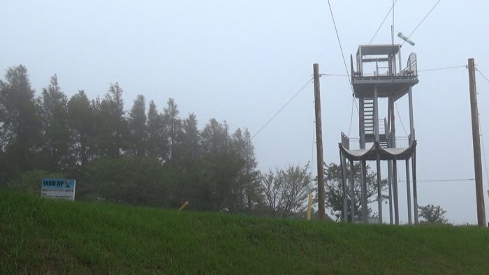 マザー牧場 ジップライン