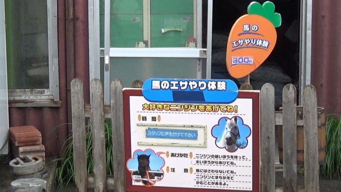 マザー牧場 馬のエサやり体験エリア