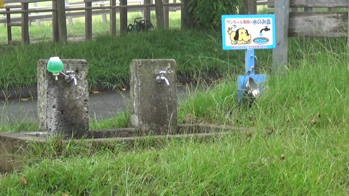 マザー牧場 犬の水飲み場