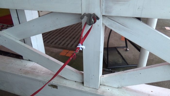 マザー牧場 テラスのリードフック