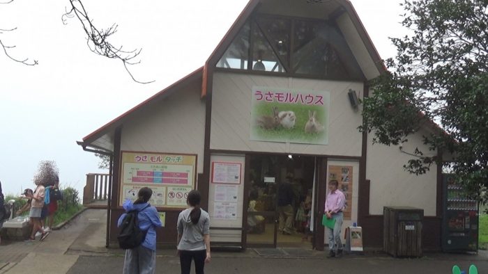 マザー牧場 うさモルハウス