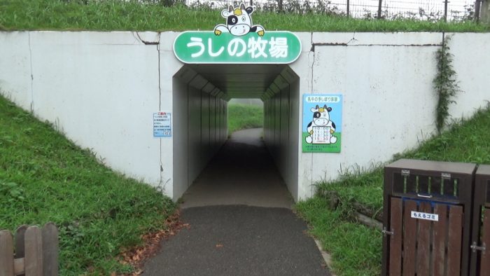 マザー牧場 うしの牧場へのトンネル