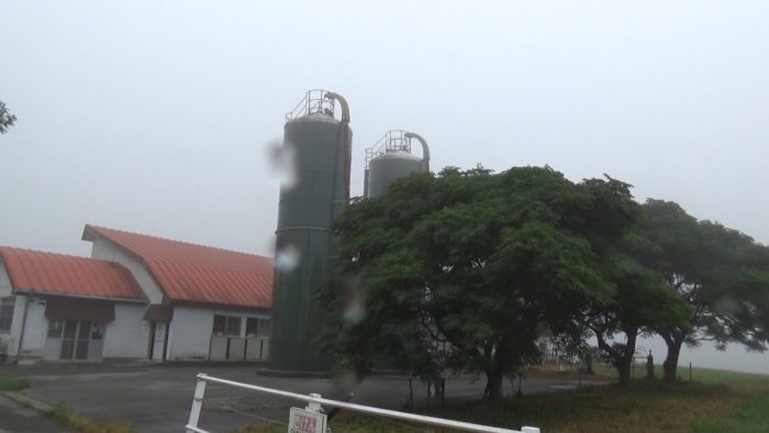 マザー牧場 うしの牧場建物