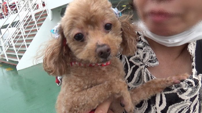 東京湾フェリー 足を突っ張るマオ