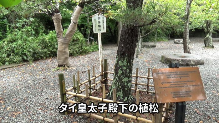 鎌倉大仏(高徳院) タイ皇太子殿下の植松