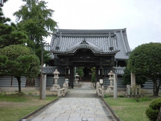 金木犀と銀木犀