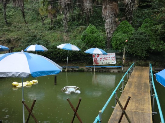 城山オレンヂ園ザリガニつり池