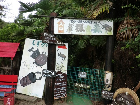 城山オレンヂ園探検の森