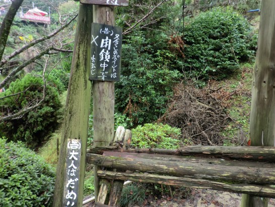 城山オレンヂ園恐怖のアスレチック6