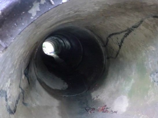 城山オレンヂ園恐怖のアスレチック8