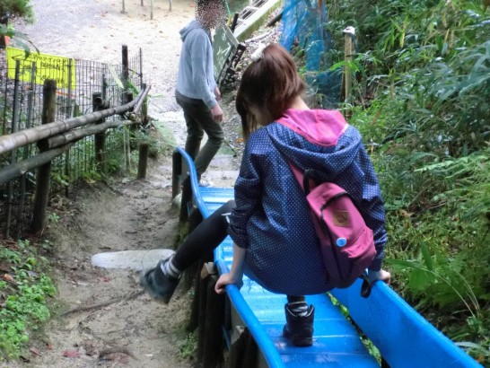 城山オレンヂ園恐怖のアスレチック10