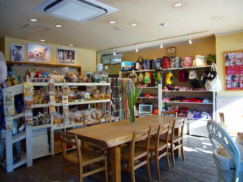 オッターテイル_店内