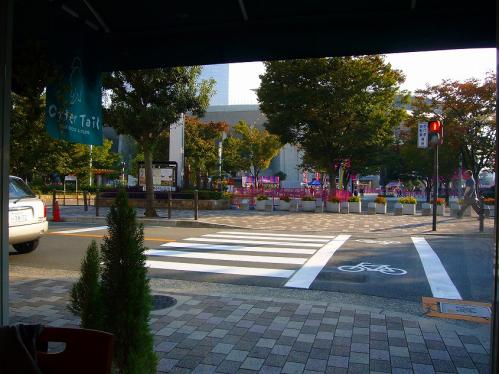 オッターテイル_店内からの景色