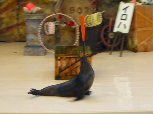 鳥羽水族館１０