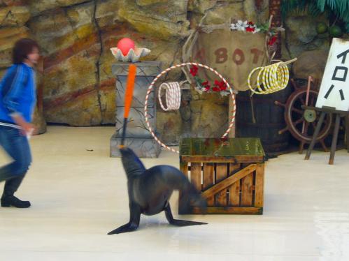 鳥羽水族館１１