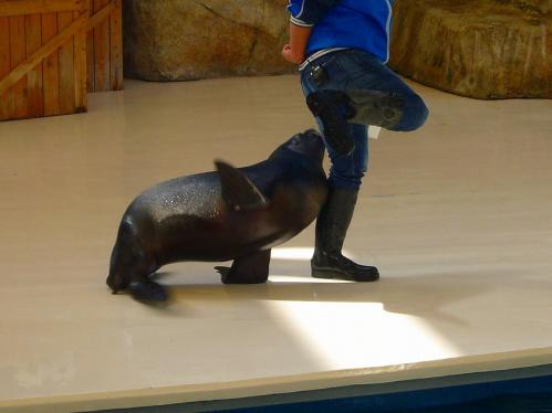 鳥羽水族館１２