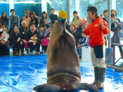 鳥羽水族館１５