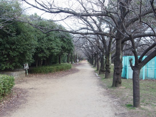 浜寺公園_小道