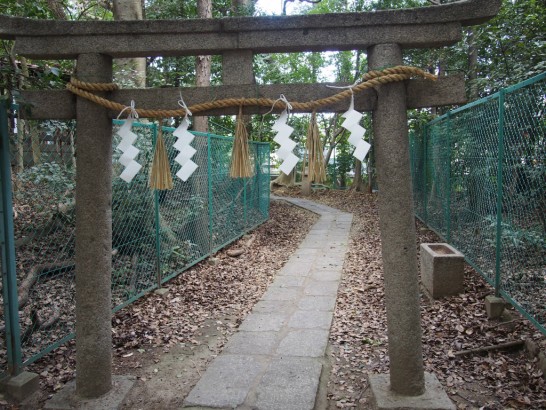 大鳥大社_裏の参道