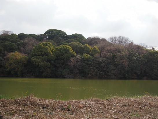 履中天皇陵古墳_側面