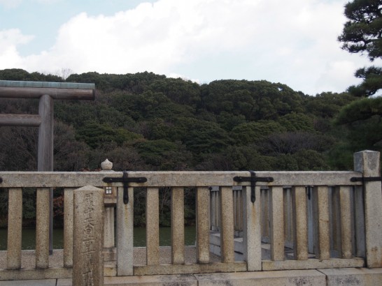 履中天皇陵古墳_望遠