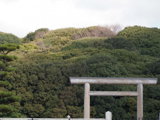 仁徳天皇陵_望遠