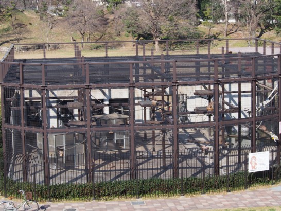 大浜公園猿小屋