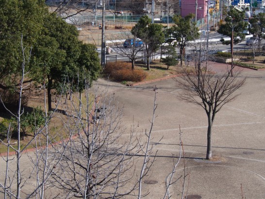 大浜公園上から