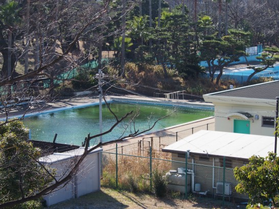 大浜公園のプール
