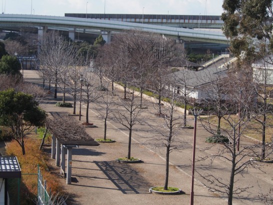 大浜公園乙姫橋の上から