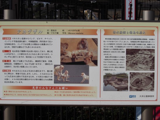 大浜公園の猿看板