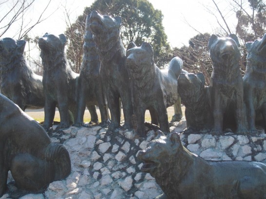 カラフト犬慰霊碑の切なさ