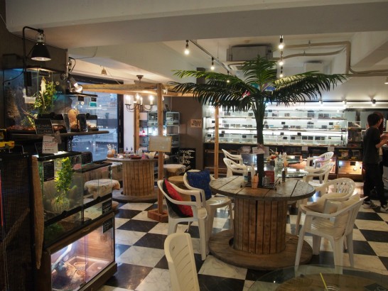 ロックスター_店内２