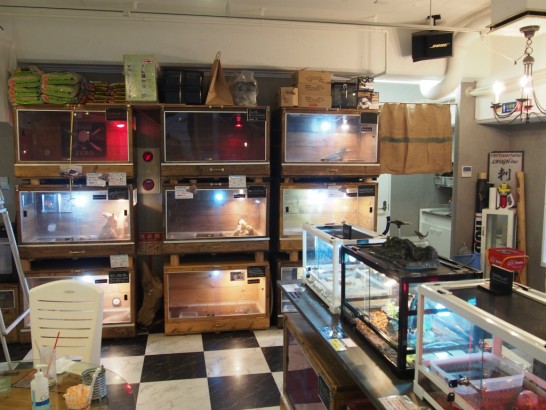 ロックスター_店内