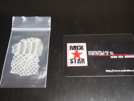 ロックスター_メンバーカード