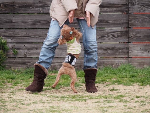 リンク＆リリー_はしゃぐマオ3