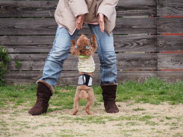 リンク&リリー_はしゃぶマオ2