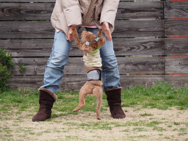 リンク&リリー_はしゃぐマオ