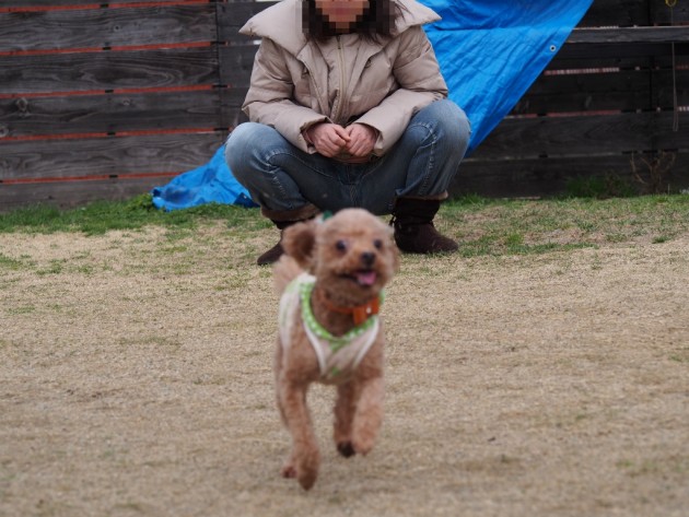 リンク&リリー_走るマオ2