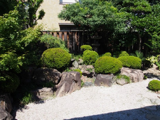 山口家住宅の庭２