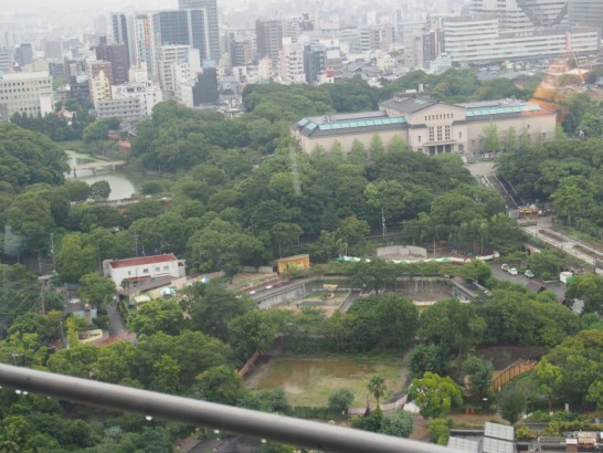 通天閣から見た天王寺動物園