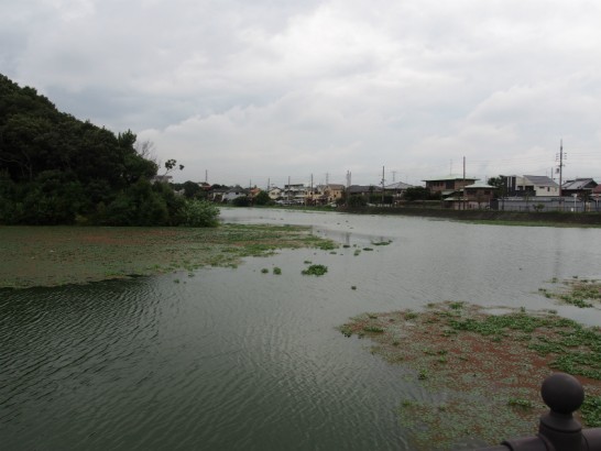 ニサンザイ古墳の濠