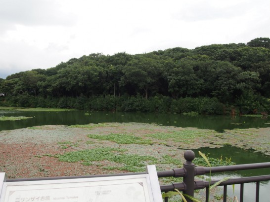 ニサンザイ古墳の濠3