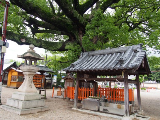 百舌鳥八幡宮手水舎と灯籠