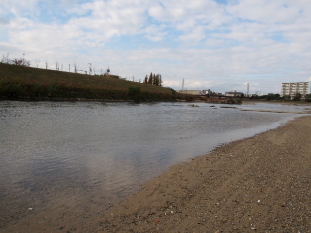 大和川の水が意外と綺麗