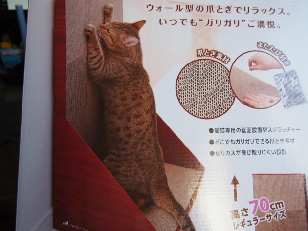 ガリガリウォールスクラッチャーパッケージアップ