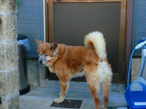 咥えるミックス３