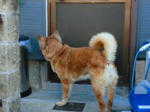 咥えるミックス２