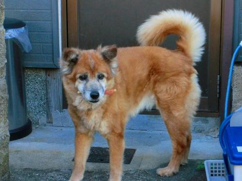 咥えるミックス１